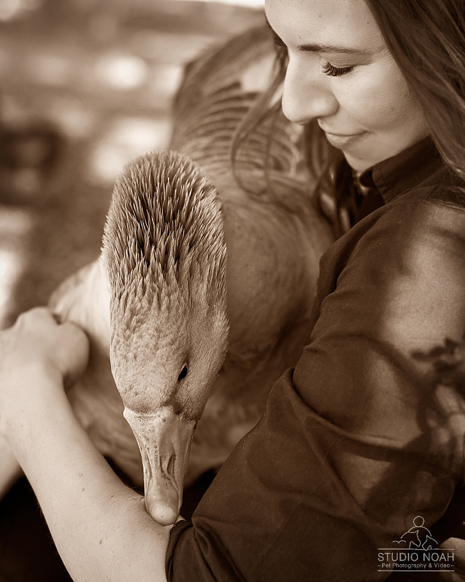 Bird The Label Designer Casey Winsor with her pet goose, Geesie